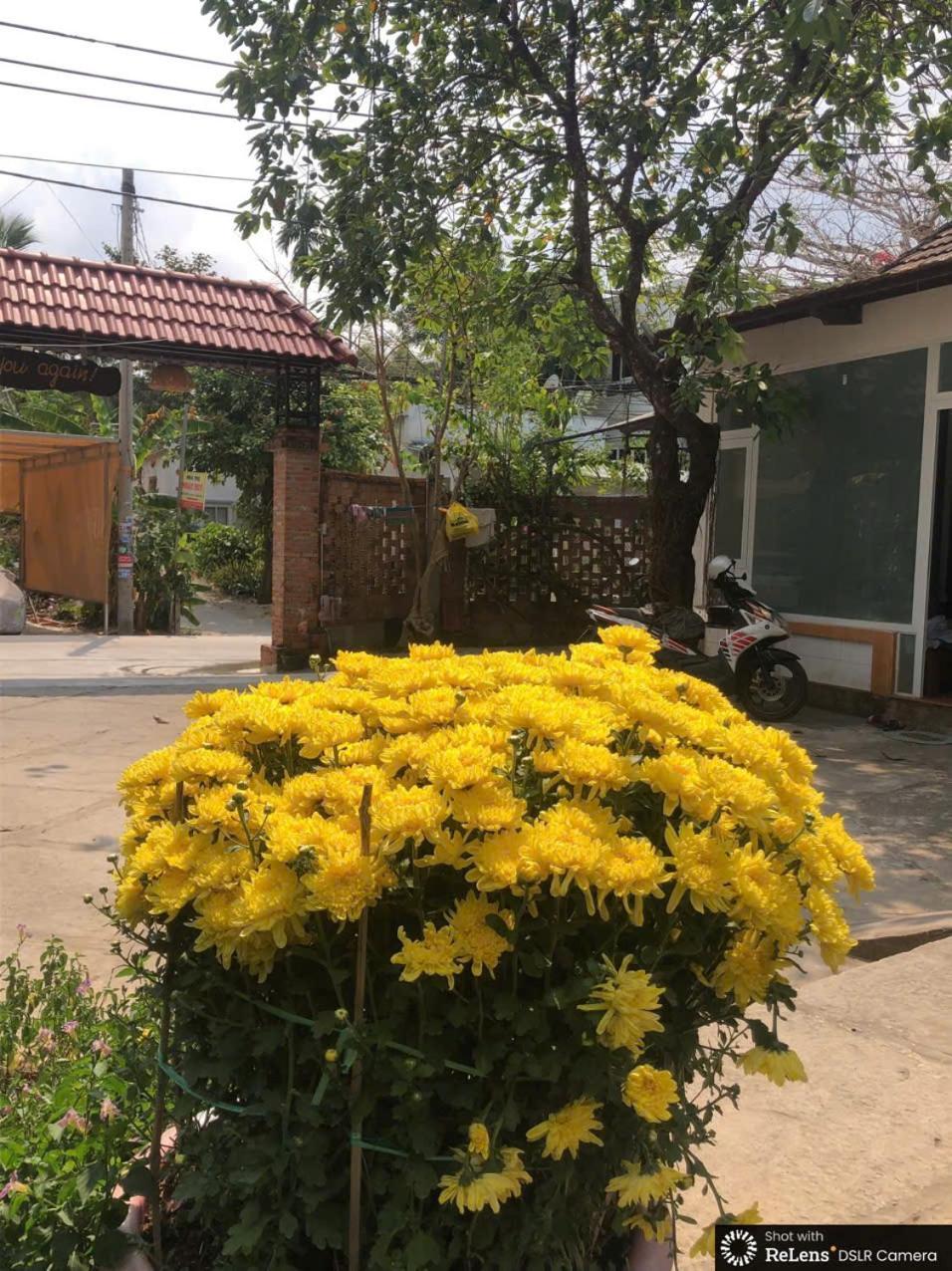 Gecko House Phu Quoc Exterior foto